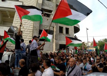 The Palestinian Cause between the PLO and Hamas